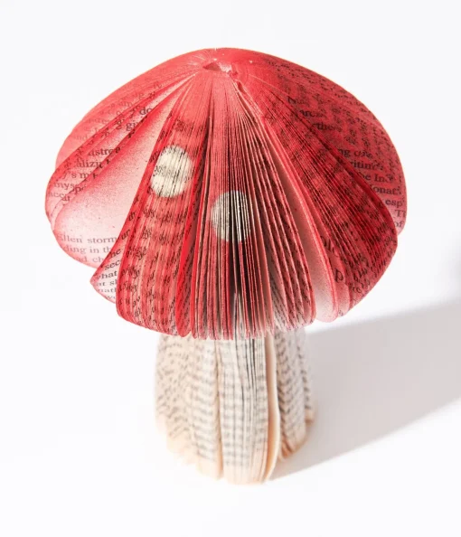Book of Mushroom Decorative Piece