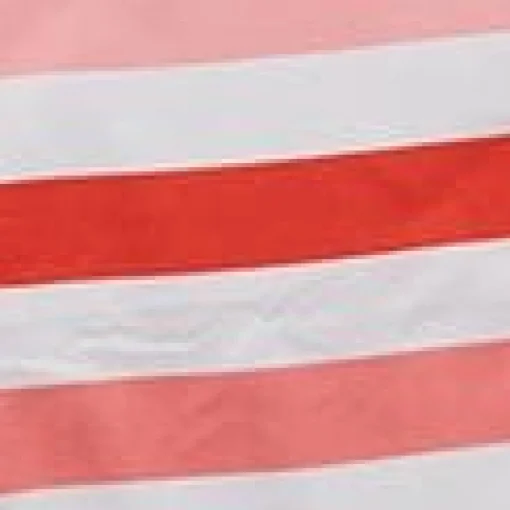 Think Pink Striped 2 In 1 Towel Tote Bag