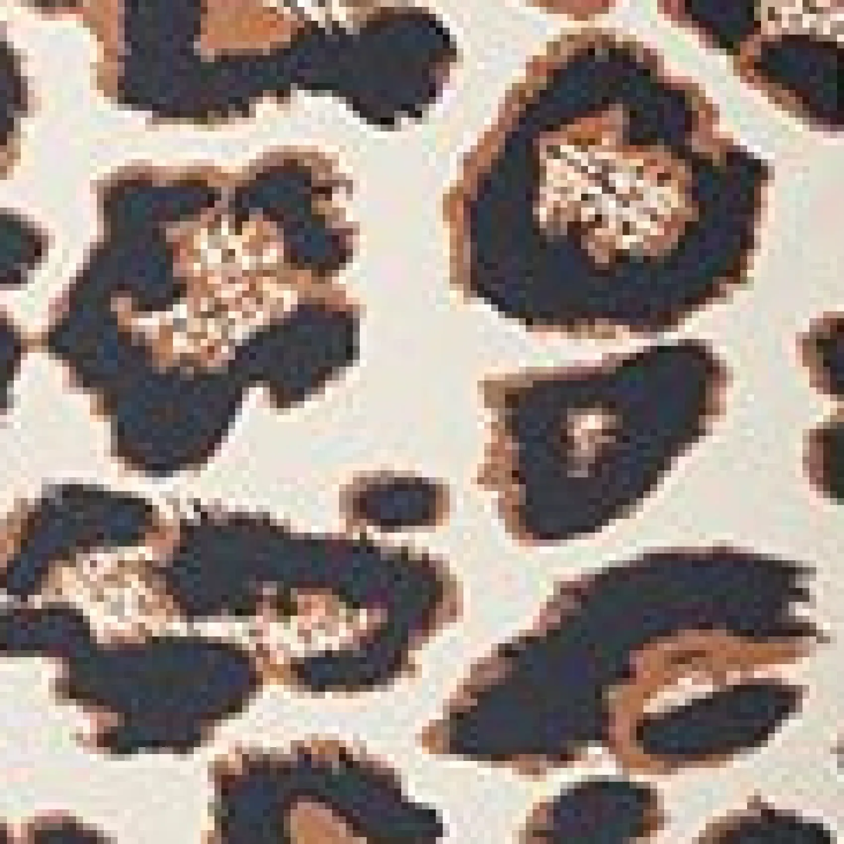 Unique Vintage Plus Size 1950s Leopard Monroe Halter Swim Top