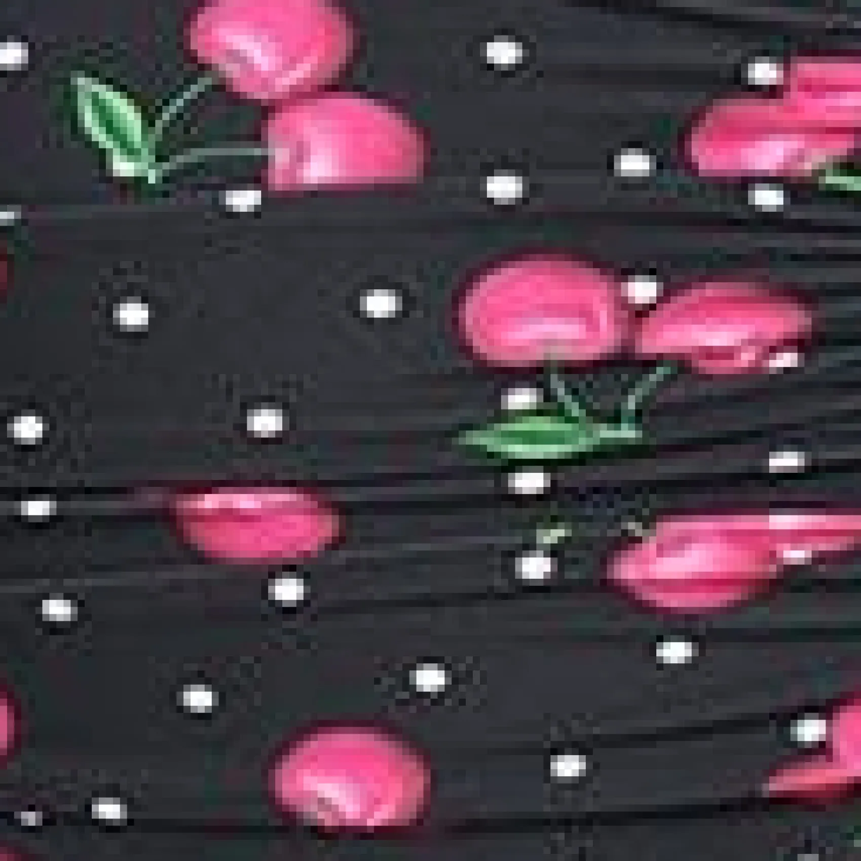 Unique Vintage 1950s Black & Hot Pink Cherry Pin Dot Monroe Swim Bottom